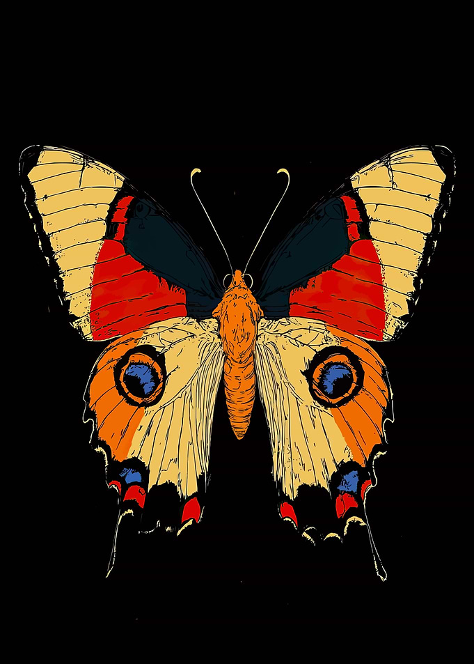 Colorful Butterfly Illustration on Black Background