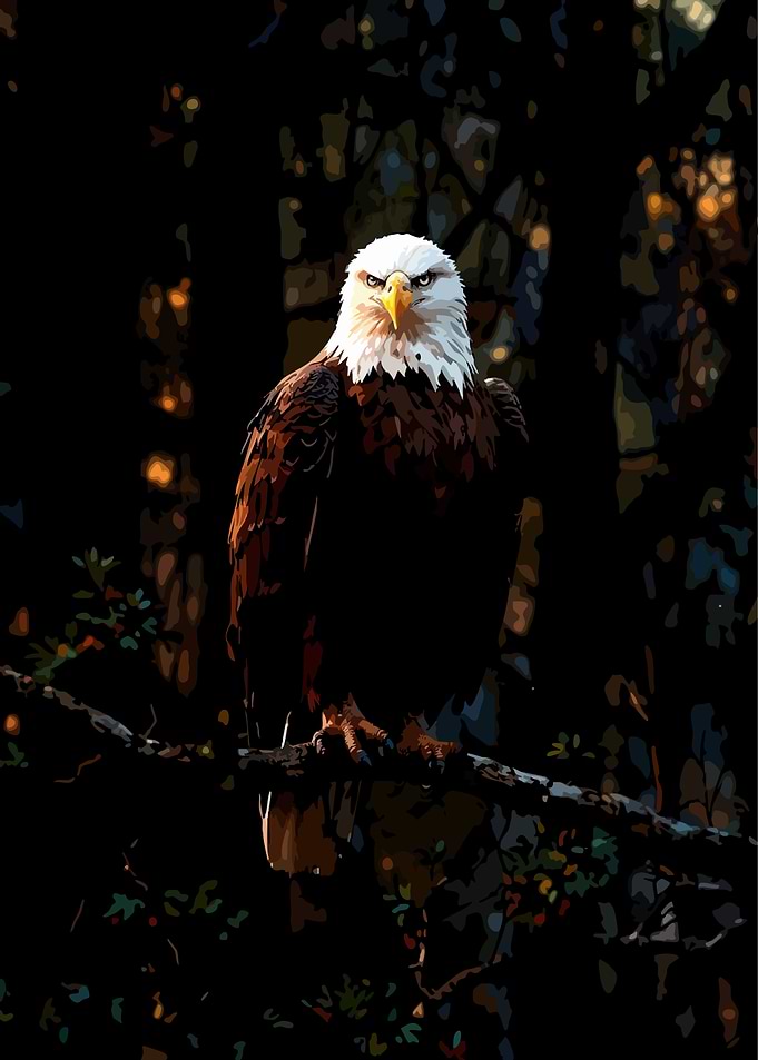 Bald Eagle Perched on Branch