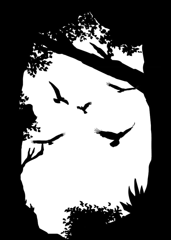 Birds in Flight Silhouette