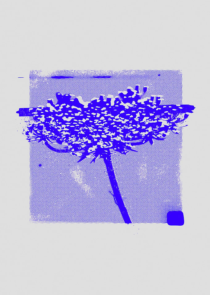 Blue Flower Halftone Print