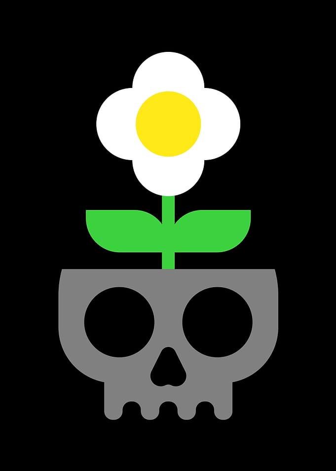 Flower in Skull Pot