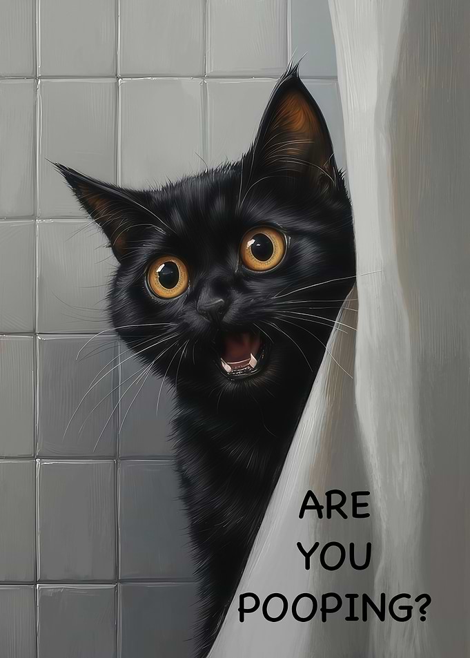 Surprised Black Cat in Bathroom Toilet