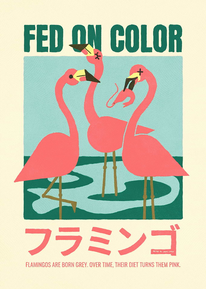 Fed on Color