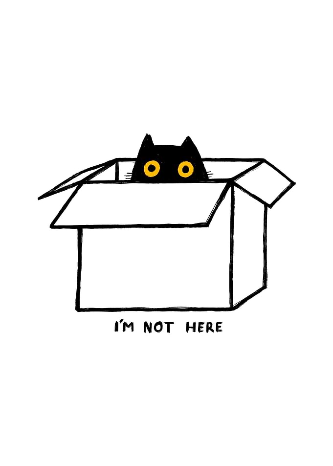 Black Cat in Box - I'm Not Here