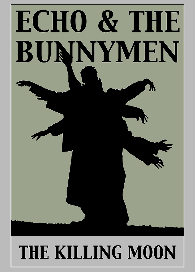 Echo & The Bunnymen Album Art