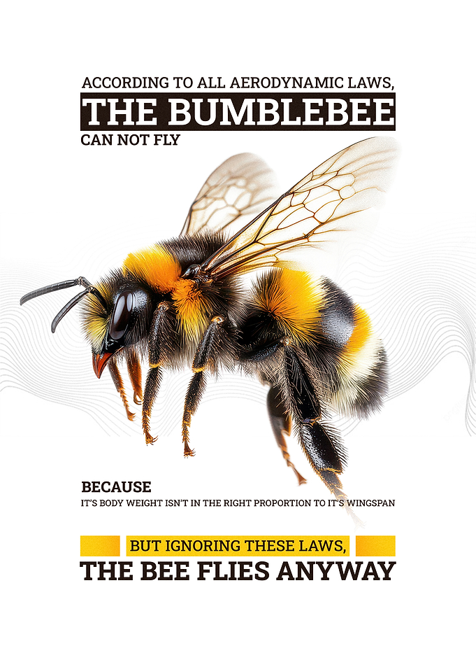 Bumblebee defies aerodynamic laws