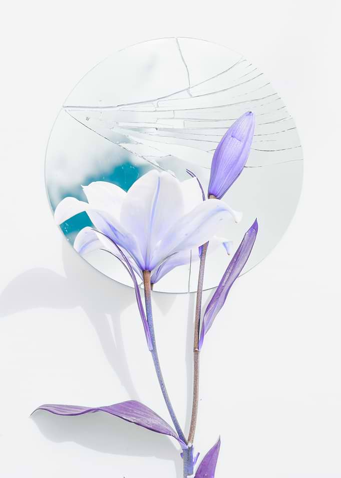Floral Still Life with Broken Mirror