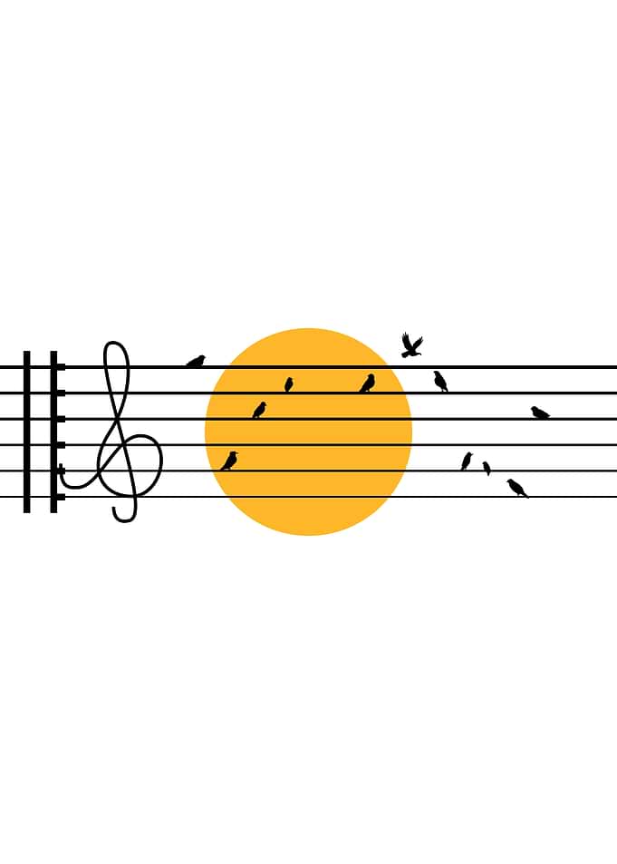 Musical Birds on Staff