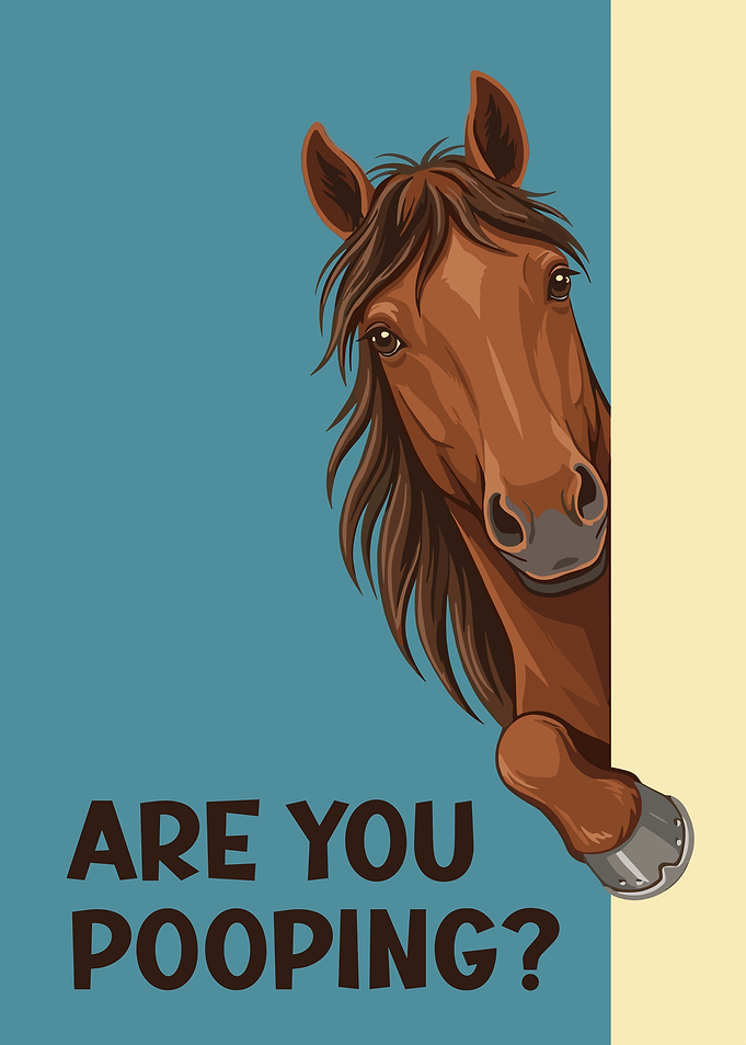 Are You Pooping? Horse Funny