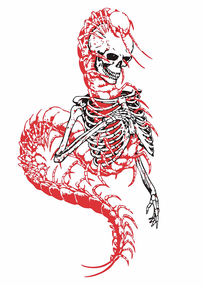 Centipede Skeleton Hybrid