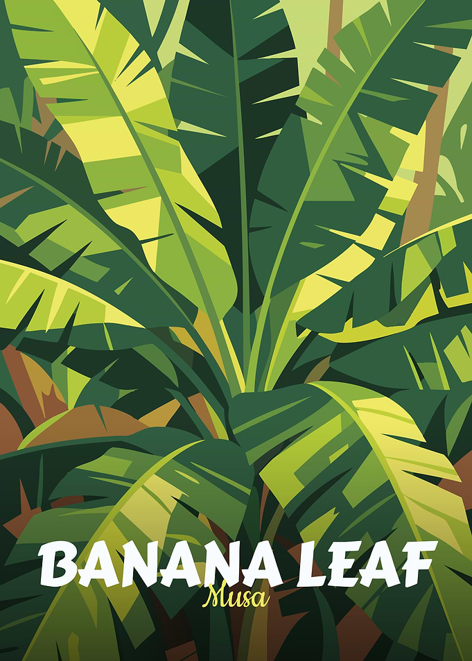 Banana Leaf Illustration