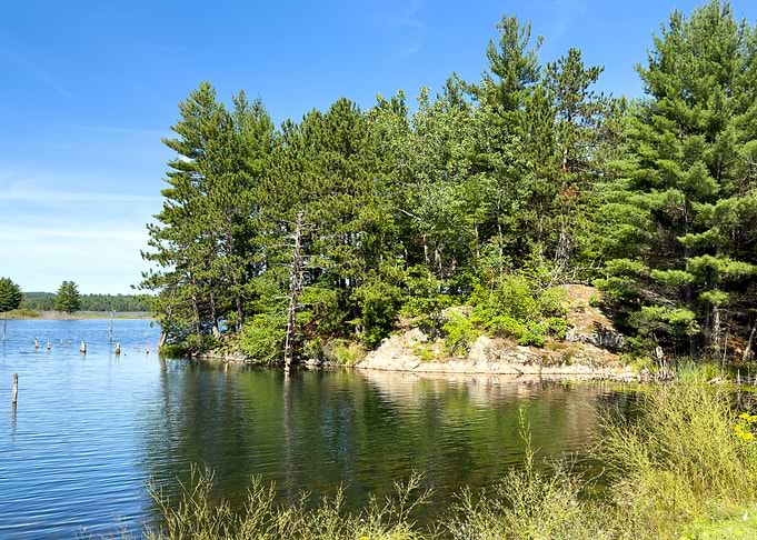 Lake with Trees and Blue Sky