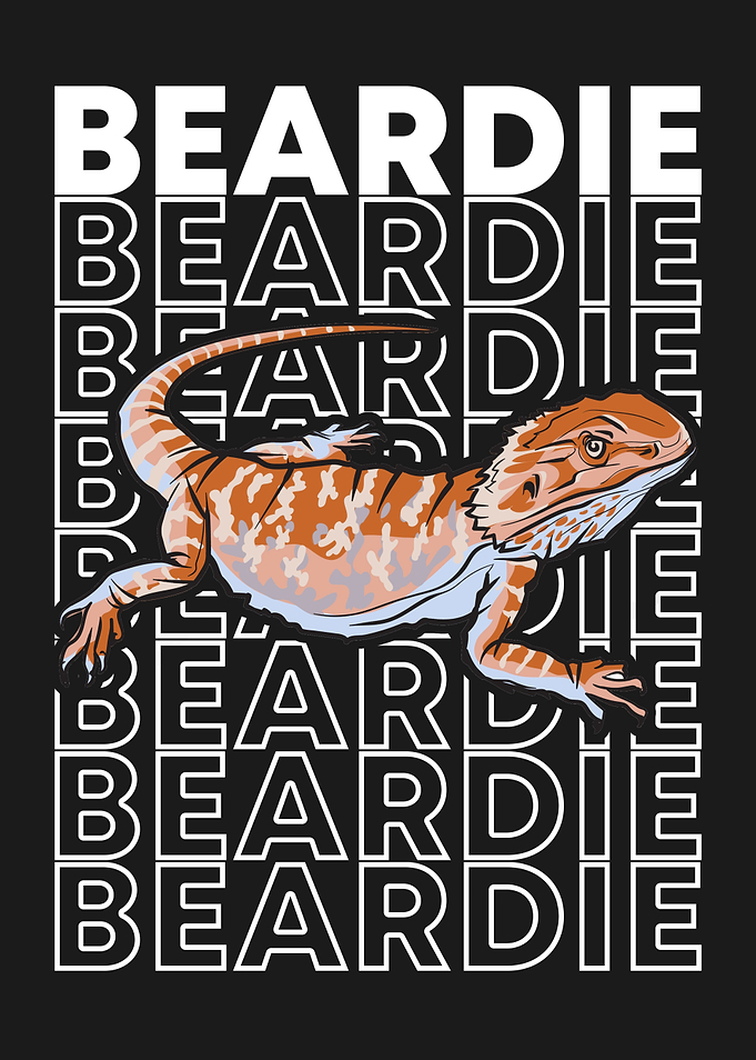 Bearded Dragon Reptile Owner