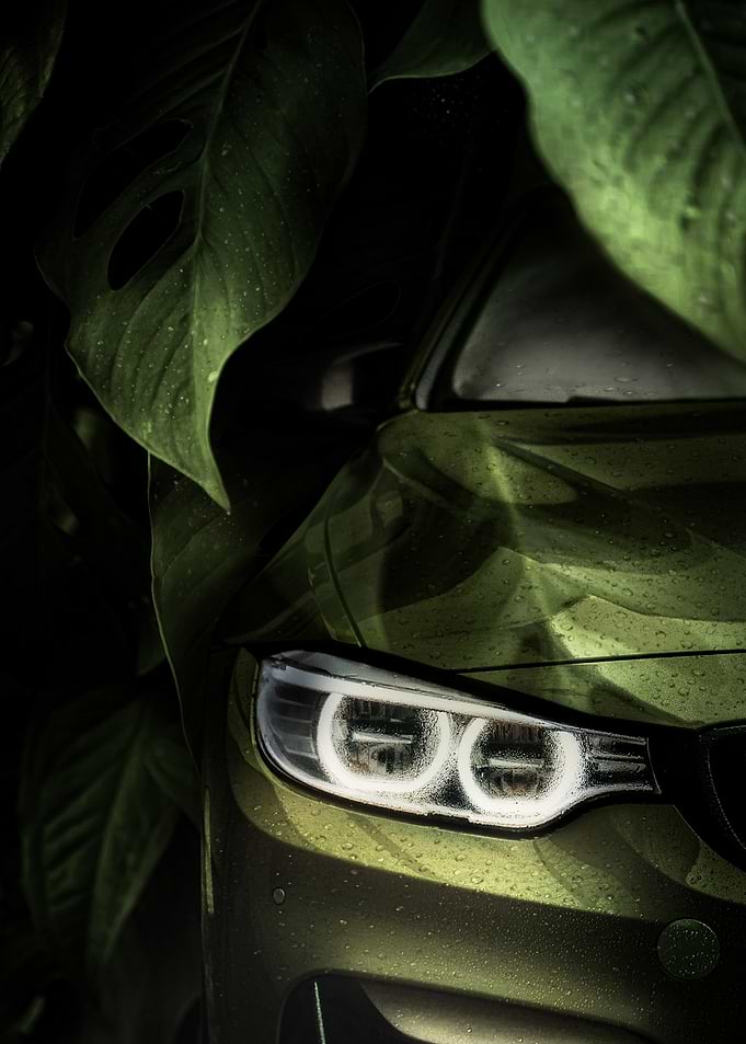 bmw forest velocity