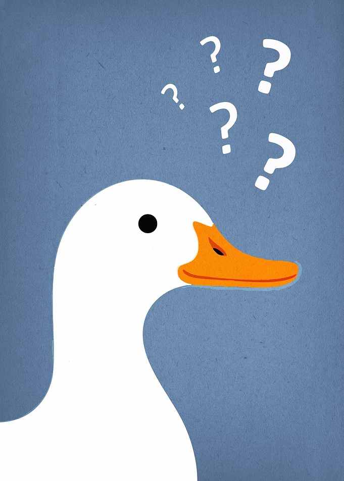 Confused Duck with Question Marks