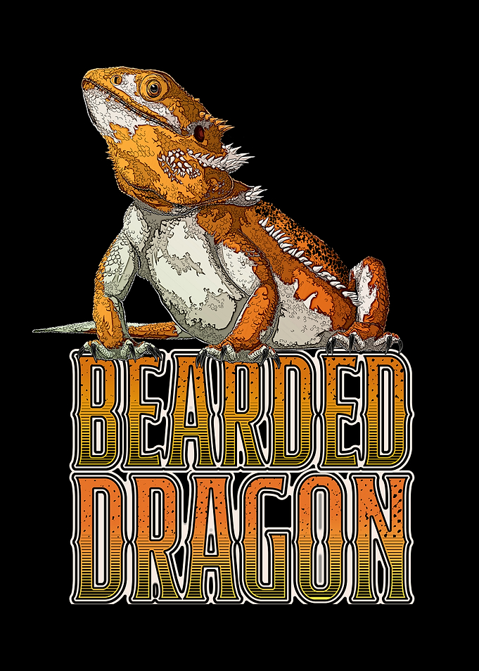 Bearded Dragon Reptile Keeper