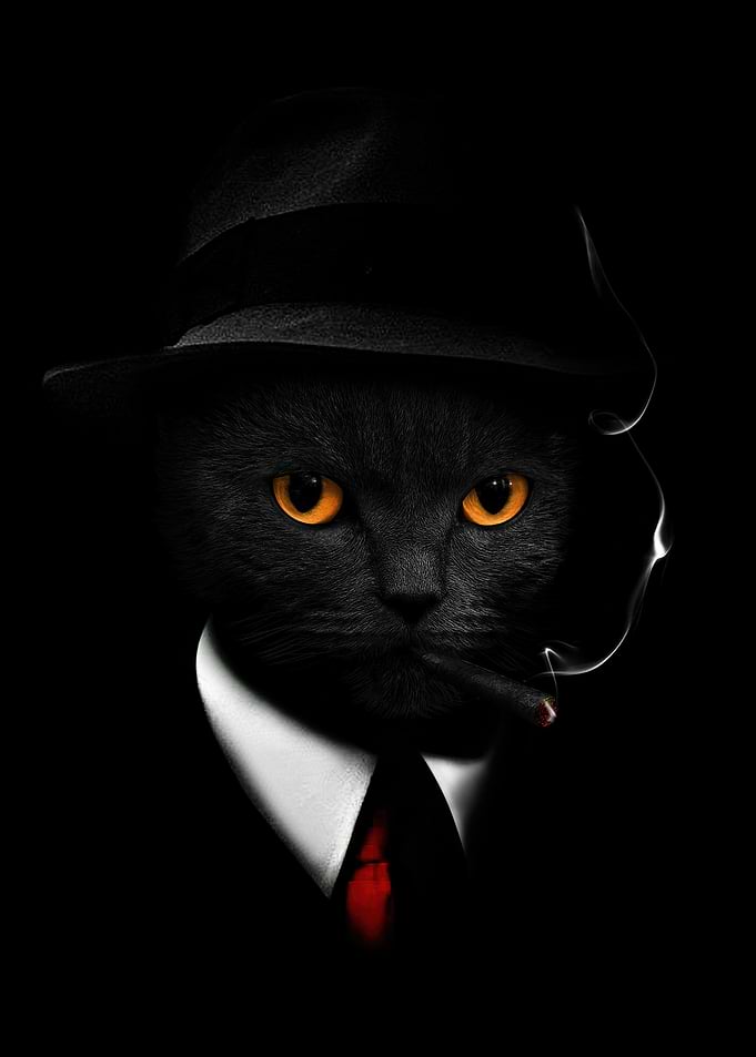 Gangster Cat with Cigar