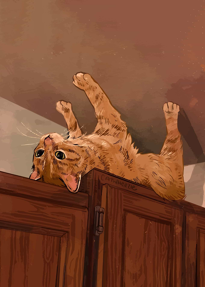 Upside-Down Orange Cat on Cabinet