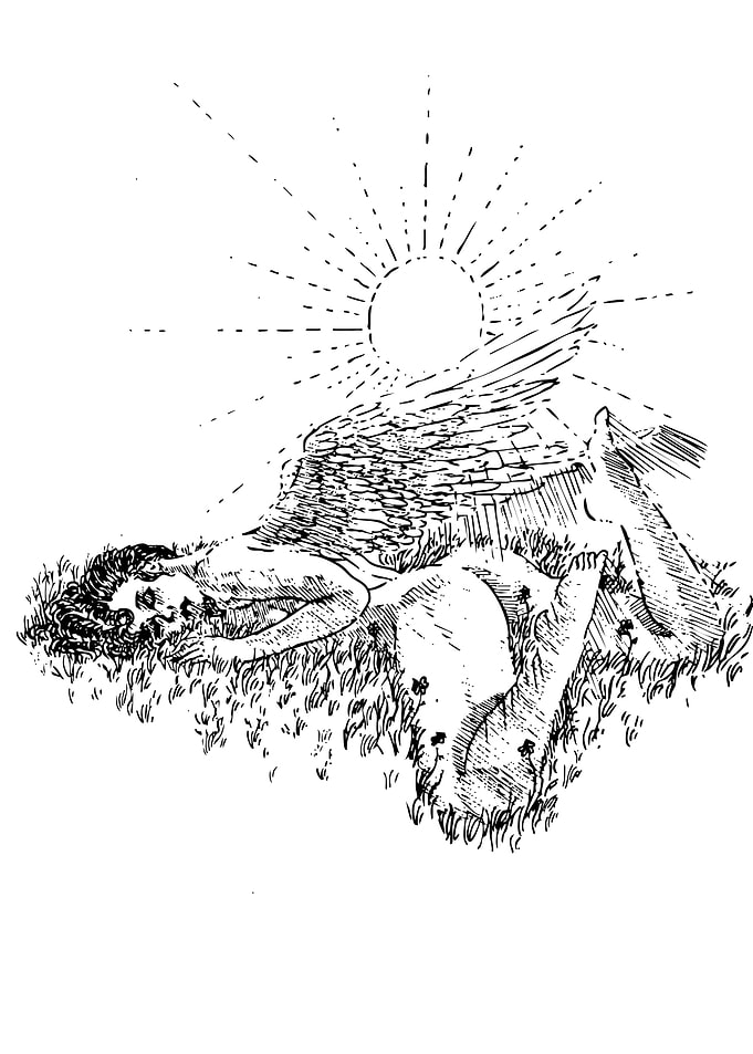 Fallen Angel in Grassy Field