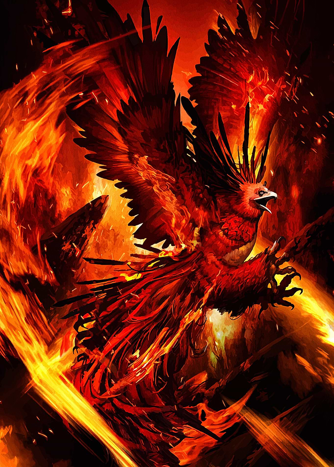 Fiery Phoenix Rising