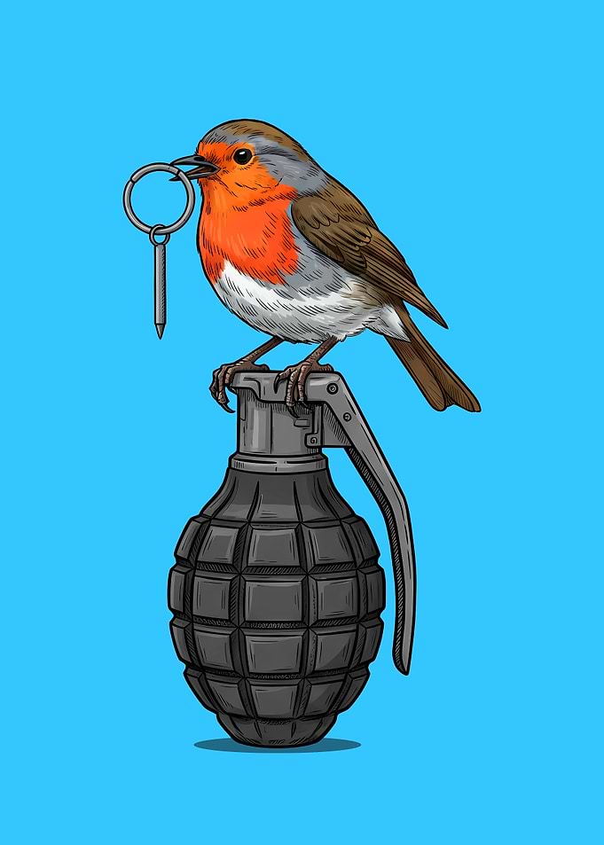 Robin Bird on Grenade Illustration