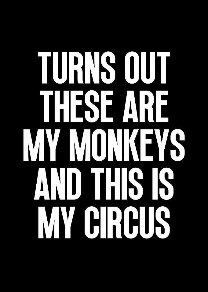 Turns out these are my monkeys
