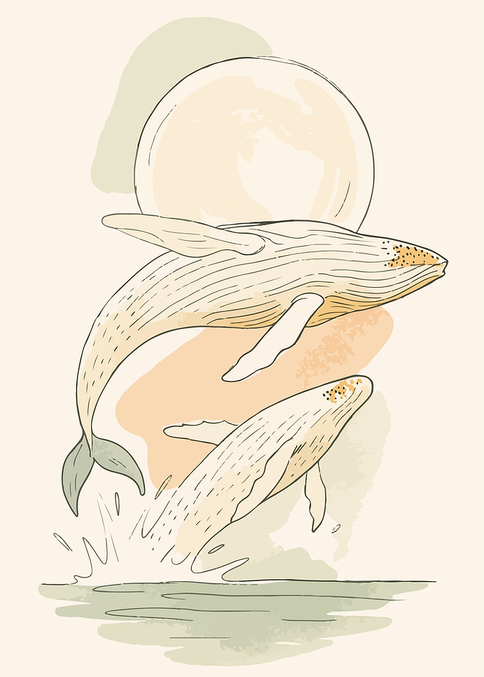 Breaching Whales and Moon Ocean Sketch