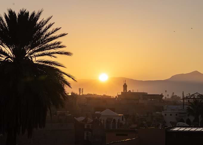 Golden Sunset over Cityscape with Palm