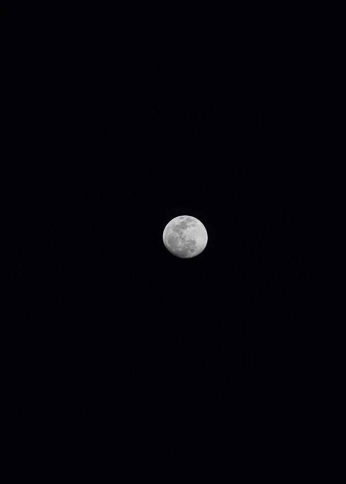 Full Moon in the Night Sky
