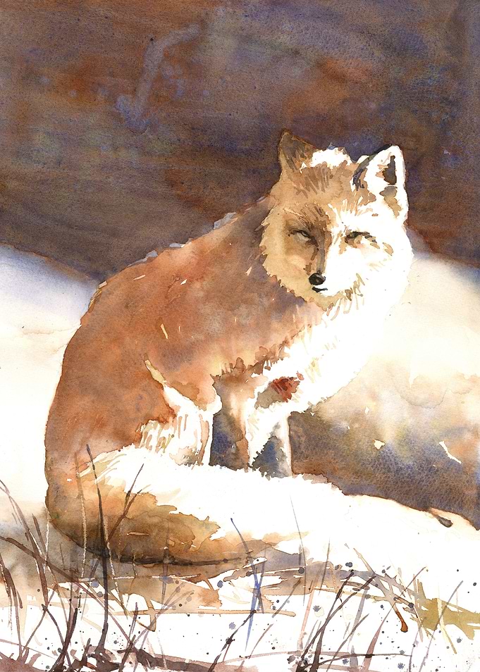 Fox in Winter Watercolor Painting
