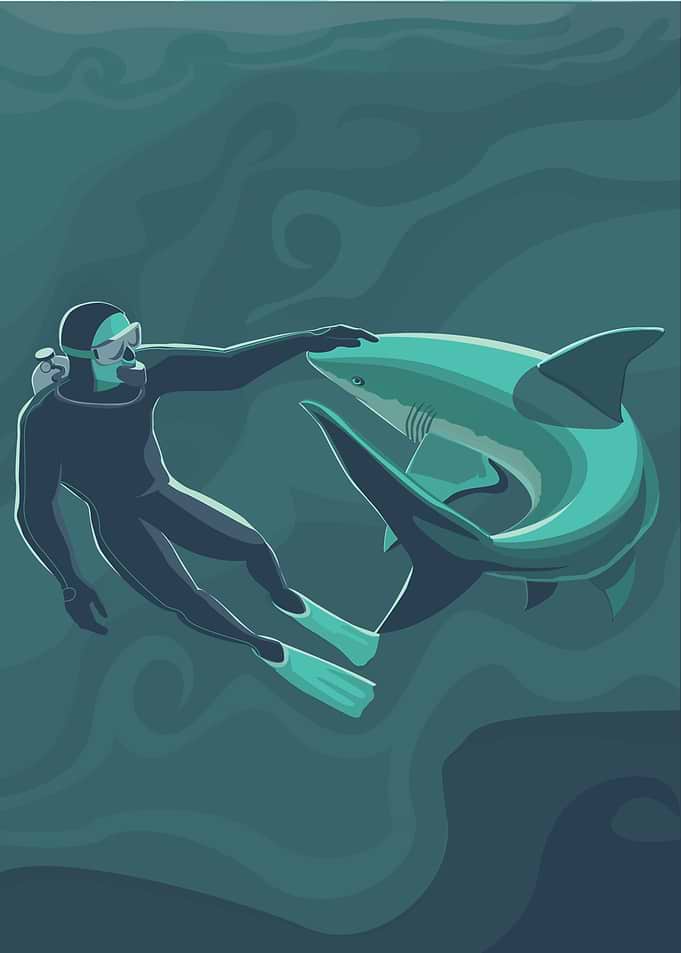 Diving with a shark