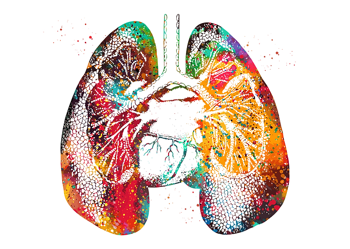 Colorful Watercolor Lungs Anatomy Art