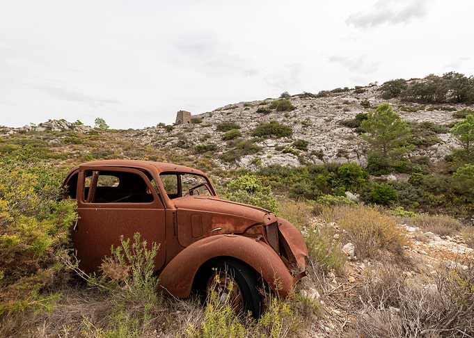 Rusty Car in Overgrown Field