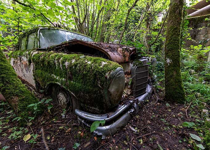 Moss-Covered Abandoned Car in Forest