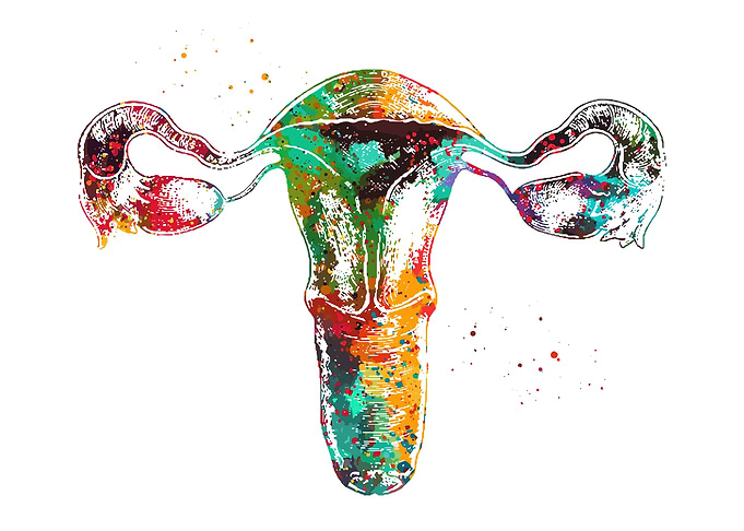 Colorful Uterus Watercolor Anatomy Art