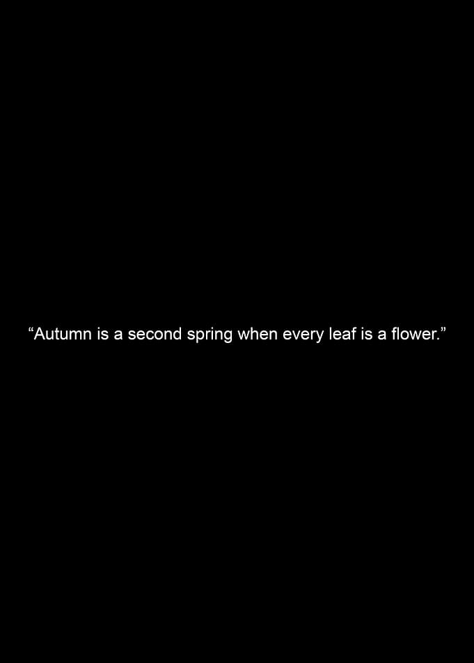Autumn Quote on Black Background