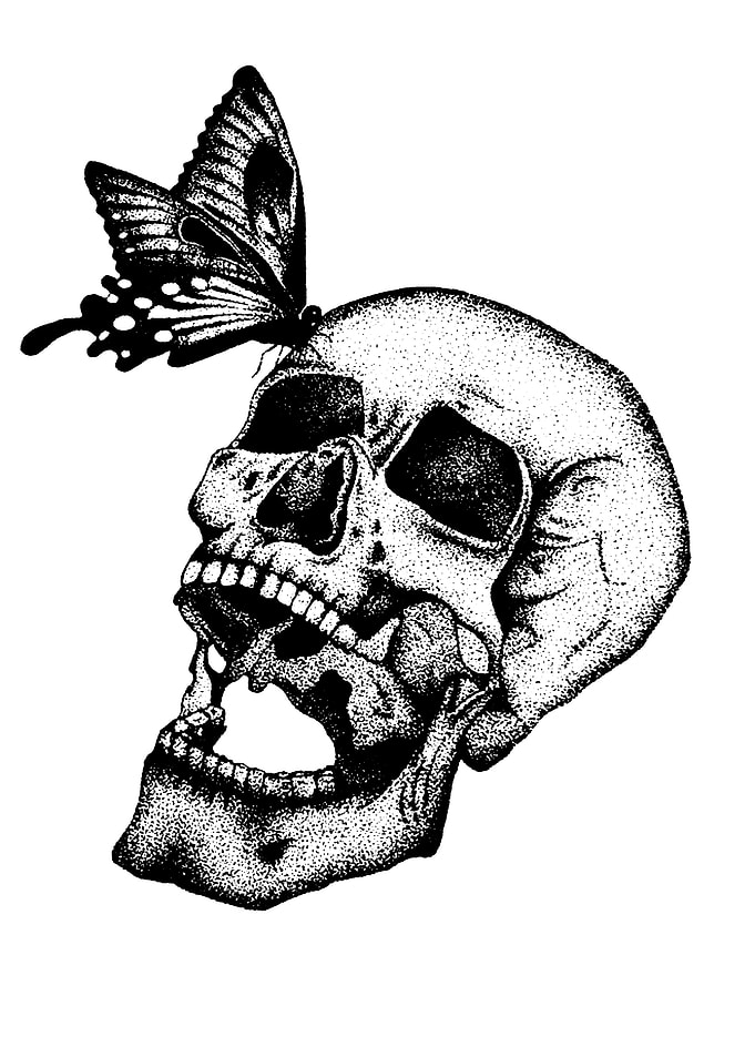 Skull with Butterfly Black and White
