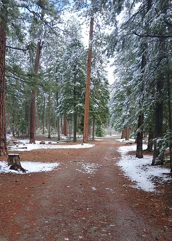 Winter Walk