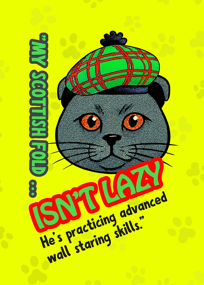 Scottish Fold Cat with Tartan Hat
