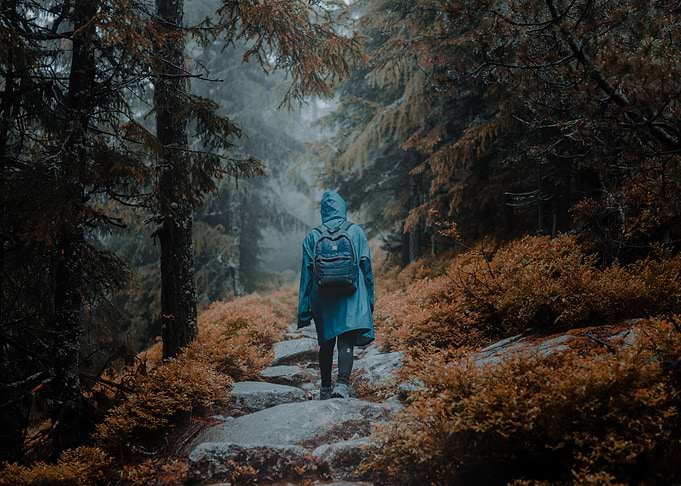 Hiker in Forest on Stone Path