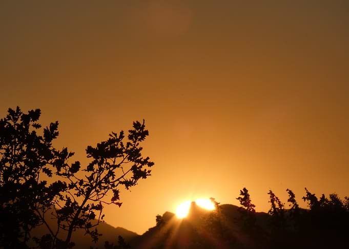 Photography of Golden Sunset with Silhouetted Trees