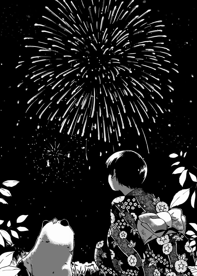 Fireworks Black Night