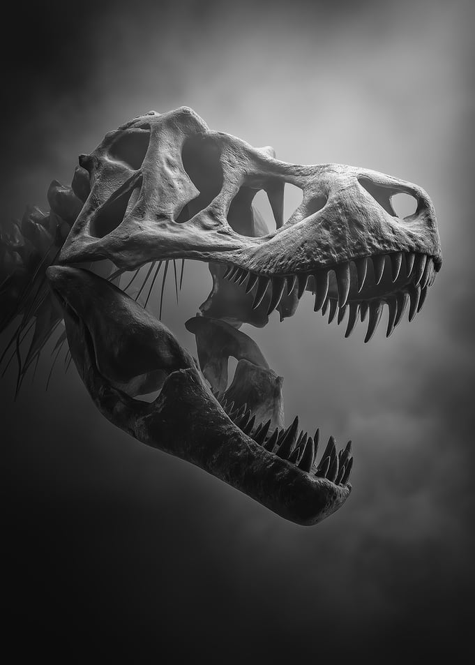 Tyrannosaurus Rex Skull in Black and White
