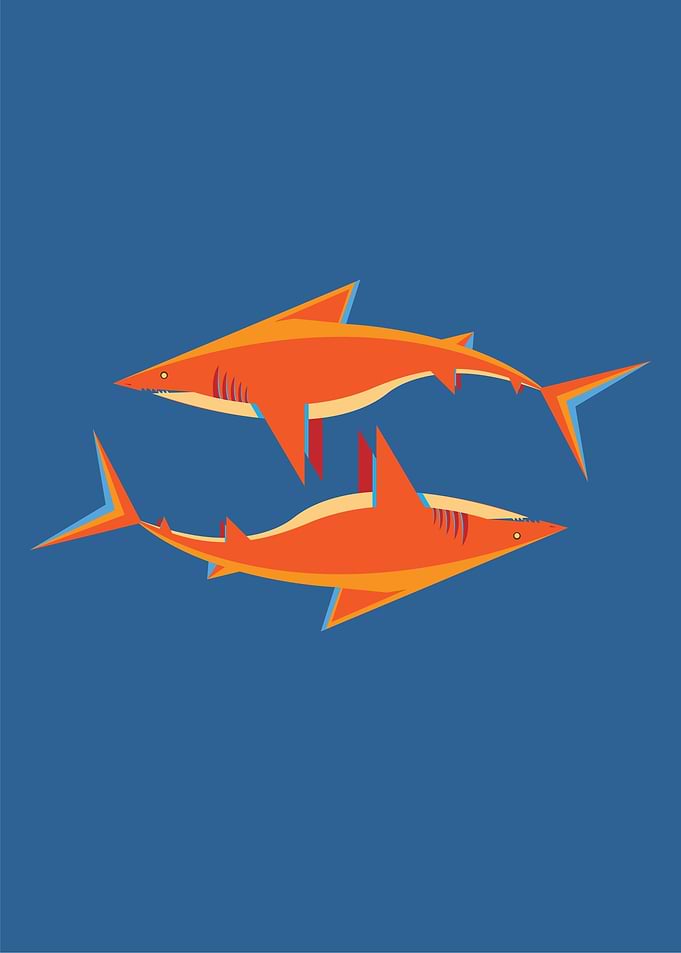 Sand tiger sharks