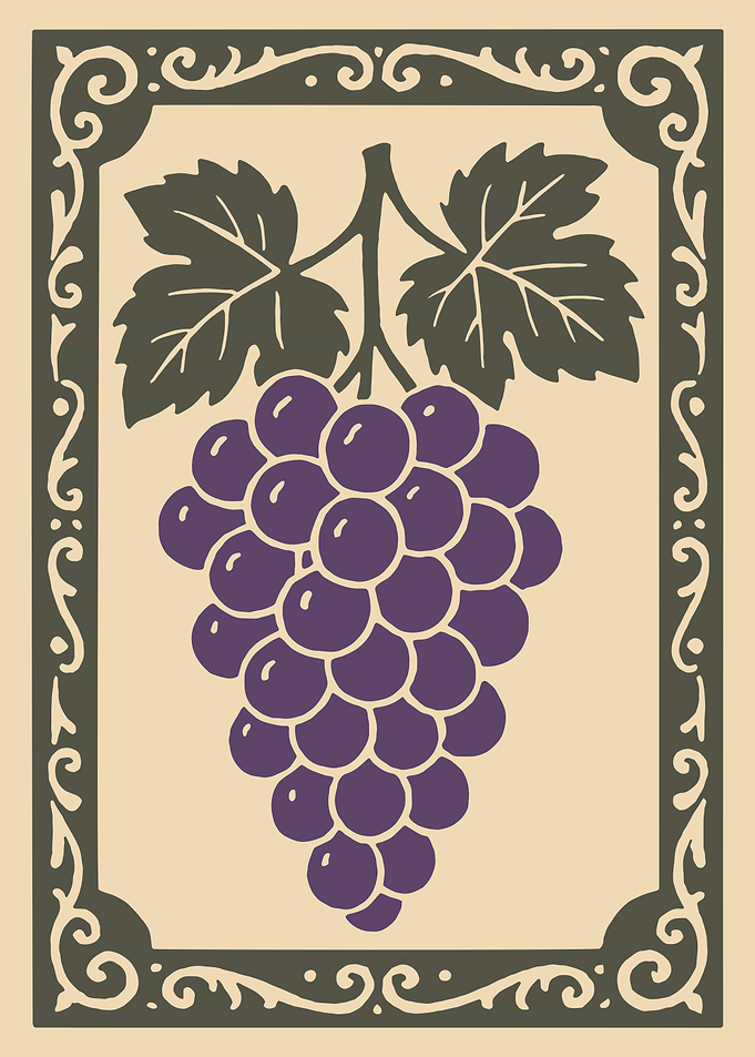 Purple Grapes Illustration with Decorative Border