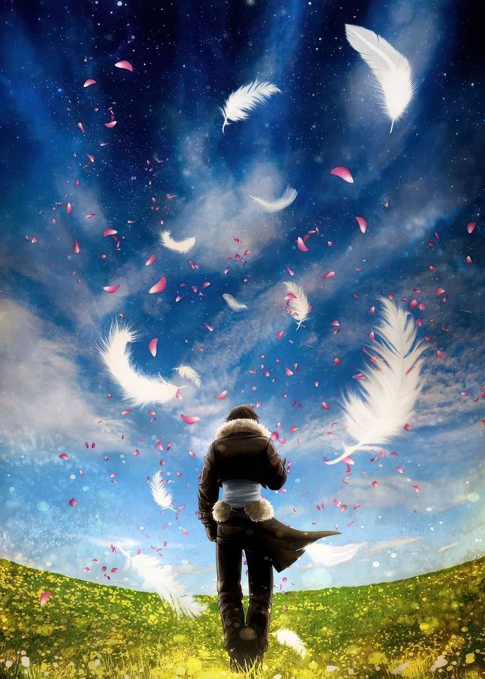 Feathers and Petals in the Sky