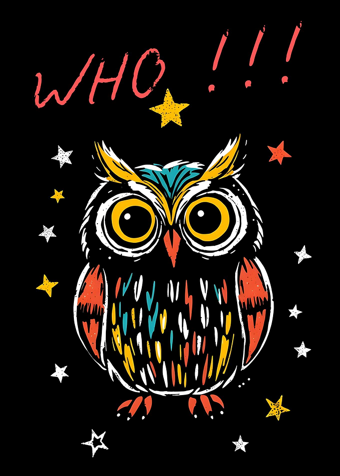 Colorful hand drawing minimalist Owl with Stars and Text
