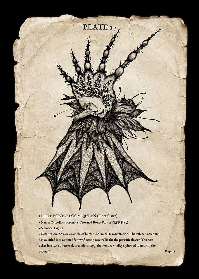 The Bone Bloom Queen - Void Bestiary Plate 17