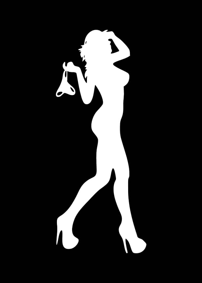 Silhouette of Woman with Underwear