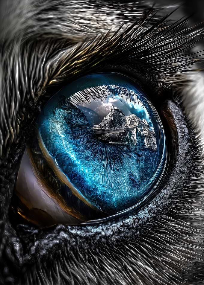 Siberian Husky Eye Reflecting Mountain Landscape